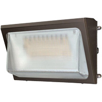 Wall Pack Light Fixture, LED, 120 -347 V, 40 W Trail Hammer and Bolt