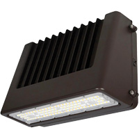Wall Pack Light Fixture, LED, 120 V, 80 W, 6.5" H x 9.3" W x 14.4" D Trail Hammer and Bolt