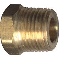Hex Head Cored Plug, Pipe, 1/8" Dia., Brass Trail Hammer and Bolt