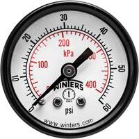Economy Pressure Gauge, 1-1/2" , 0 - 60 psi, Back Mount, Analogue YB862 | Trail Hammer and Bolt