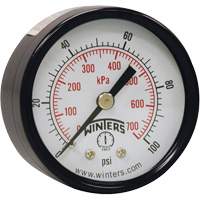 Economy Pressure Gauge, 2" , 0 - 160 psi, Back Mount, Analogue YB870 | Trail Hammer and Bolt