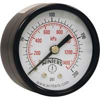Economy Pressure Gauge, 2" , 0 - 200 psi, Back Mount, Analogue YB871 | Trail Hammer and Bolt