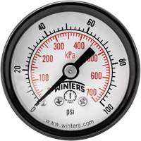 Economy Pressure Gauge, 1-1/2" , 0 - 100 psi, Back Mount, Analogue YB872 | Trail Hammer and Bolt