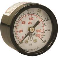 Economy Pressure Gauge, 1-1/2" , 0 - 160 psi, Back Mount, Analogue YB873 | Trail Hammer and Bolt